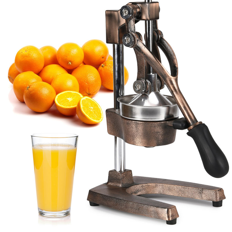 Zulay Kitchen Professional Citrus Juicer & Reviews Wayfair